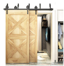Load image into Gallery viewer, BD-S01LBP Sliding Barn Door Handware Double Door