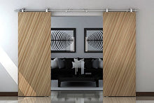 Load image into Gallery viewer, TP SS02 Sliding Door Hardware Double Door